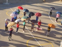 PAU paraguas (2)